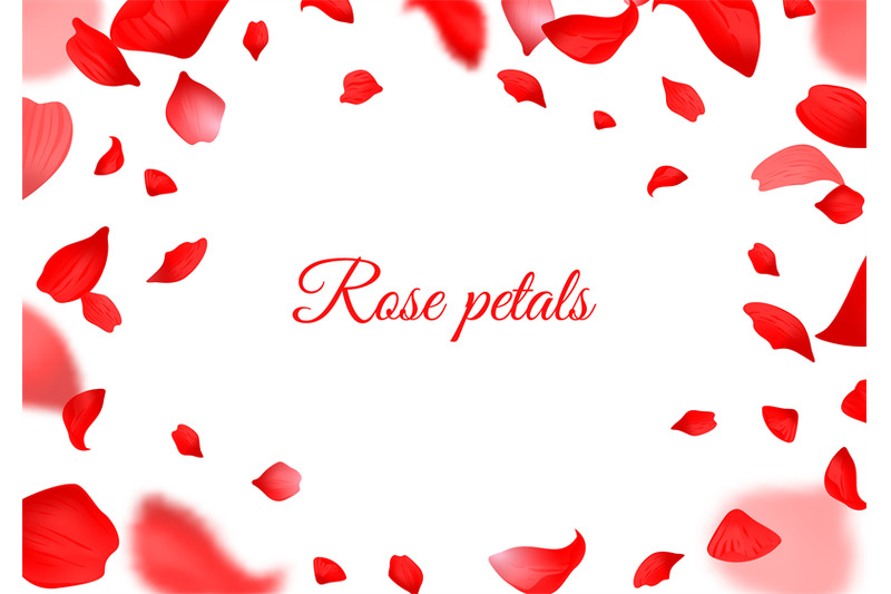 falling-red-rose-petals-realistic-flying-petal-botanical-frame-for-v