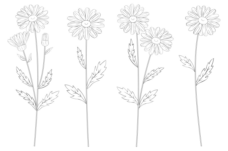 daisy-flower-graphics-daisy-line-daisy-svg-daisy-coloring