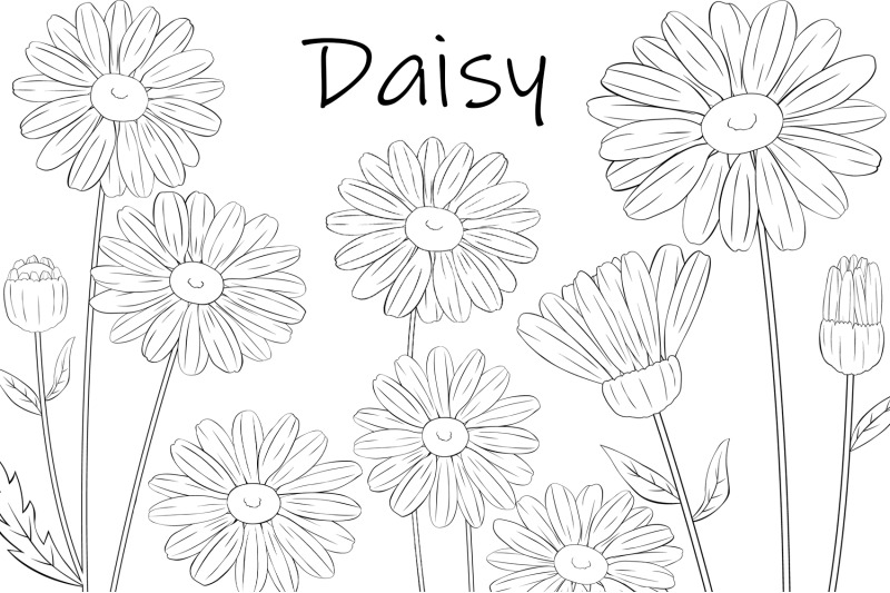 daisy-flower-graphics-daisy-line-daisy-svg-daisy-coloring