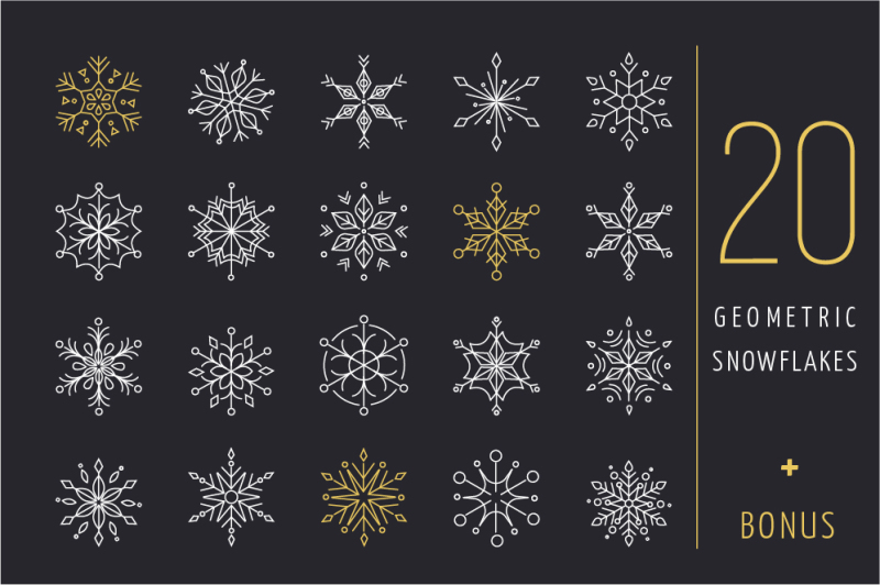 20-geometric-snowflakes-icons-set
