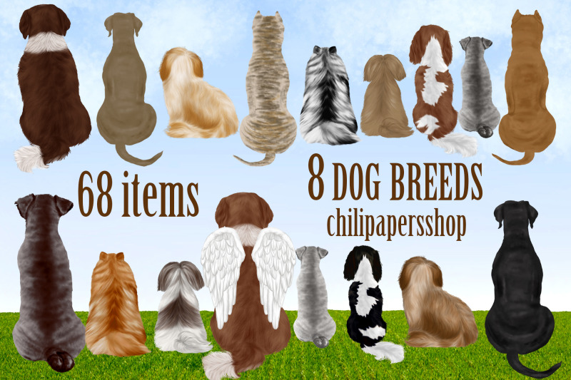 dog-breeds-clipart-dogs-clip-art-pets-illustrations-puppies
