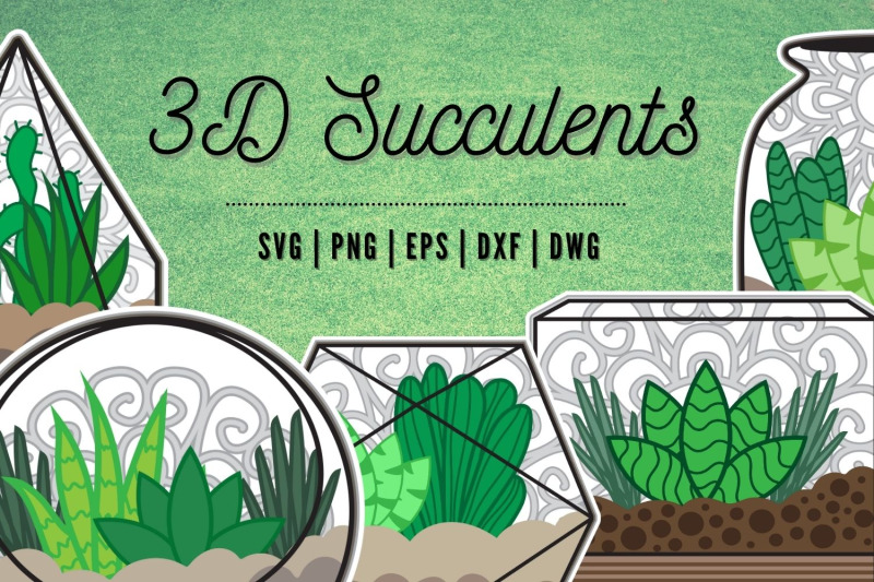 3d-succulents-svg-bundle