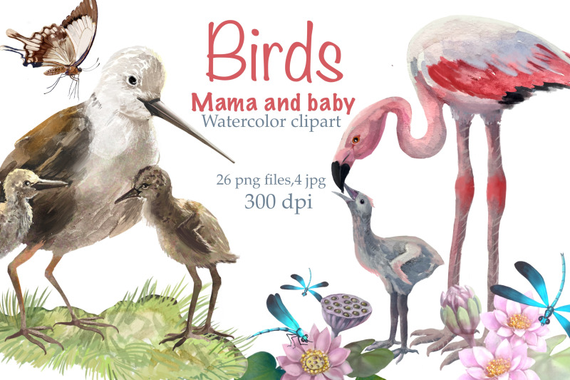 birds-mom-and-baby-watercolor-clipart