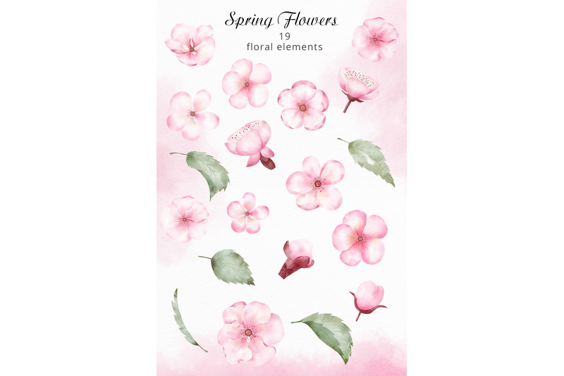 watercolor-spring-flowers-collection