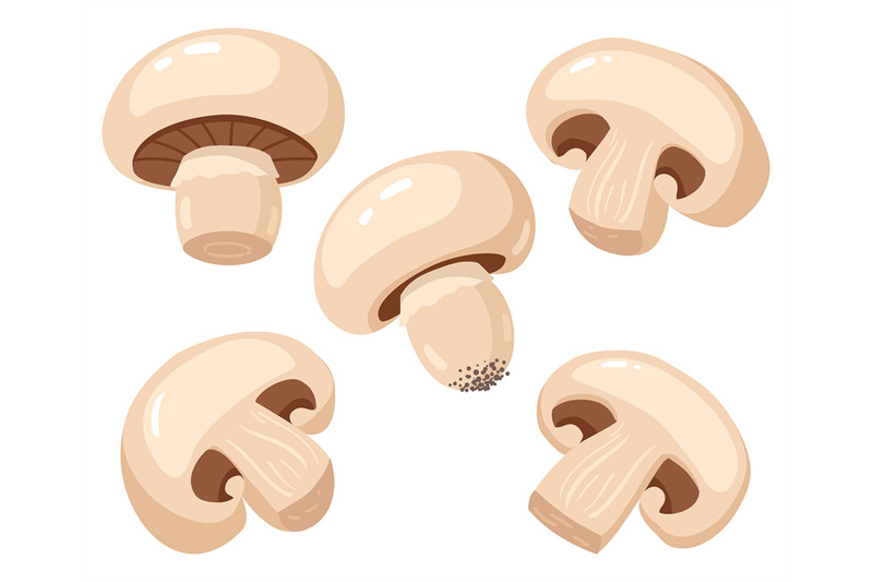 cartoon-champignon-edible-tasty-ripe-mushroom-slices-delicious-raw-c