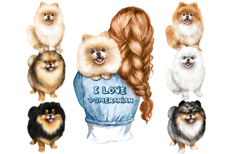 cute-pomeranian-spitz-watercolor-clipart-gift-for-dog-lovers-png