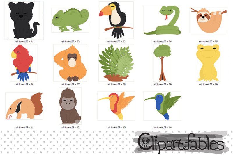 cute-rainforest-animals-clipart-wild-animals-clip-art-jungle