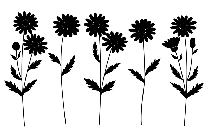 daisy-silhouettes-daisy-svg-flowers-silhouettes-svg