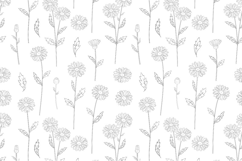 daisy-patterns-daisy-graphics-daisy-line-daisy-flower-svg