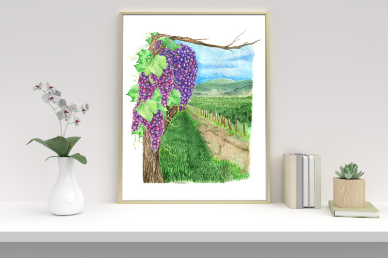 watercolor-clipart-grape-field-and-wine-hand-draw-landscape