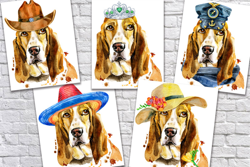 portraits-of-basset-hound