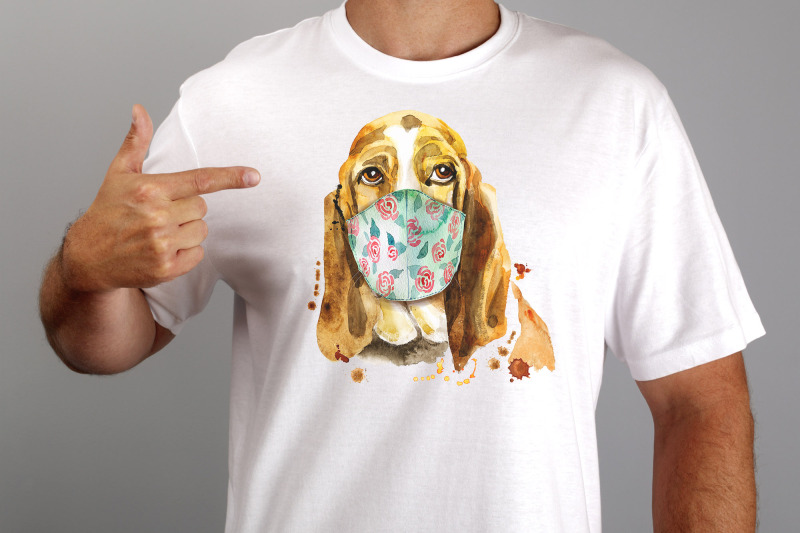 portraits-of-basset-hound