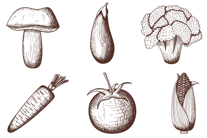 24-vegetables-hand-drawn-sketch