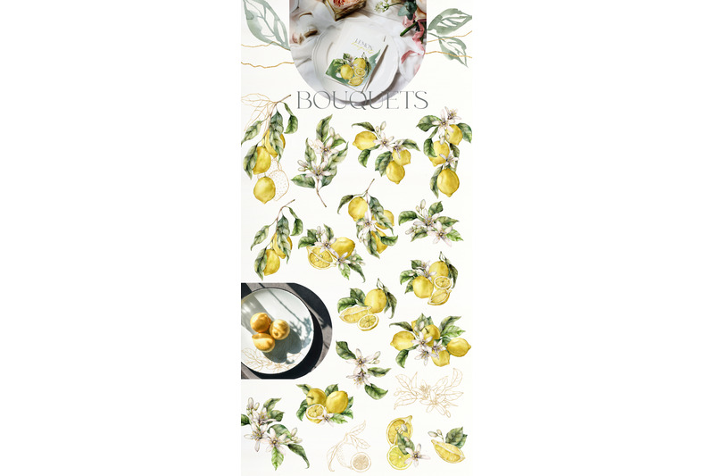 lemons-watercolor-abstract-line-art-citrus-clipart