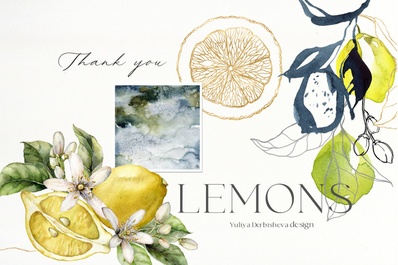 lemons-watercolor-abstract-line-art-citrus-clipart