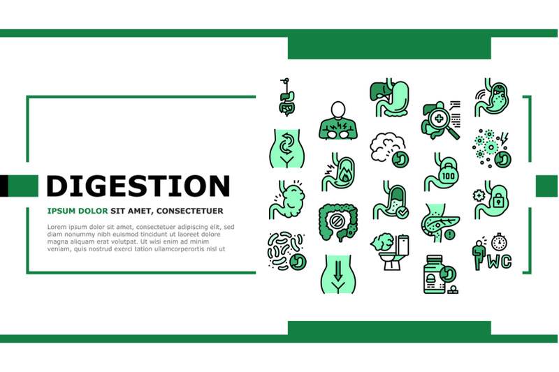 digestion-disease-and-treatment-landing-header-vector