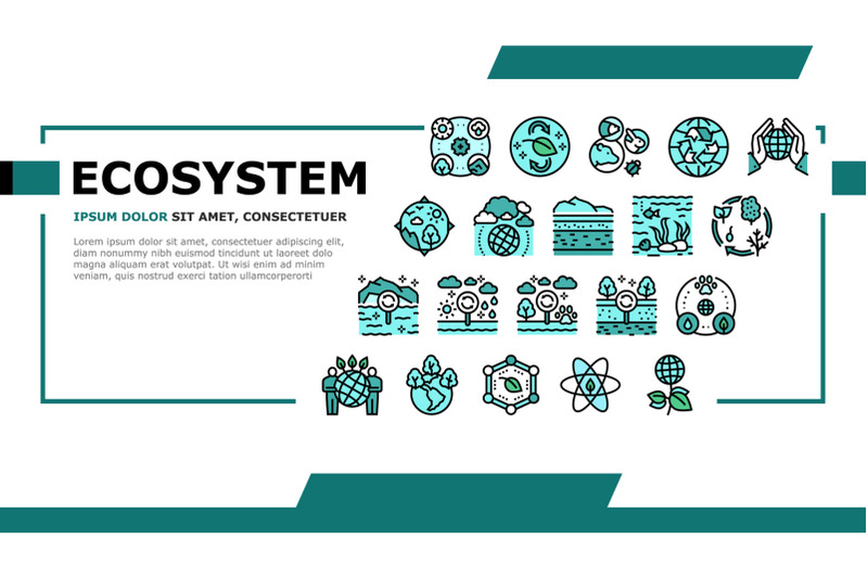 ecosystem-environment-landing-header-vector