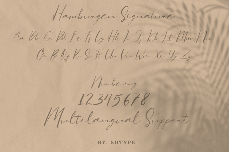 hamburgen-signature