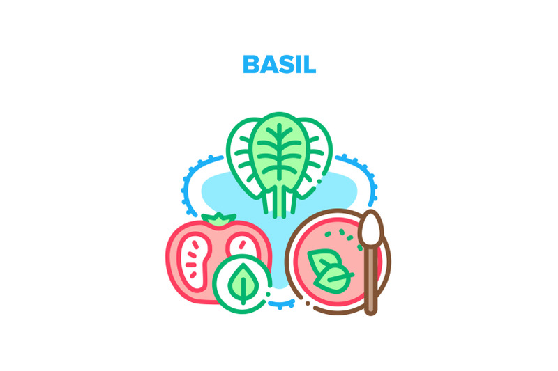 basil-spice-vector-concept-color-illustration