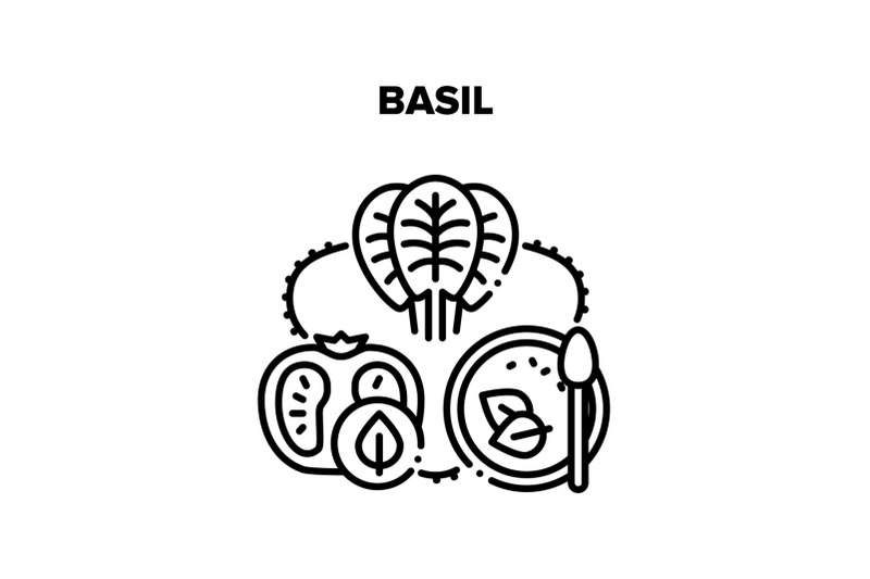 basil-spice-vector-black-illustration