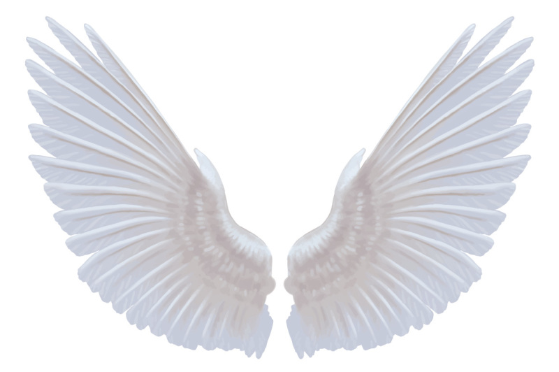 dove-wings-hand-painting-vector