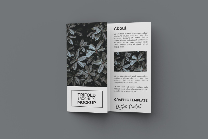 trifold-brochure-mockup