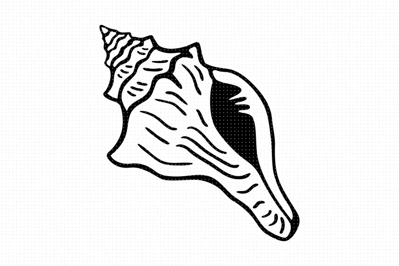 conch-shell-svg-and-png-clipart