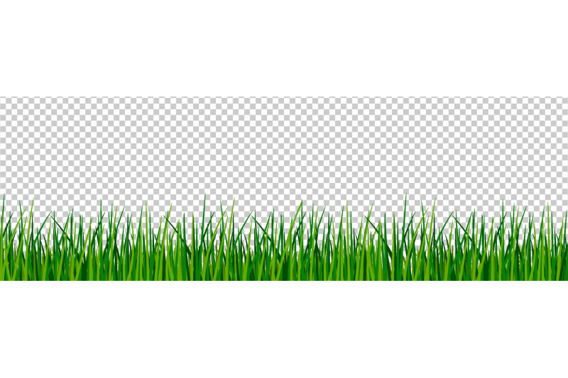 green-grass-border