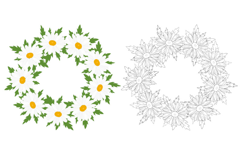 daisy-frame-daisy-design-daisy-svg-daisy-postcard