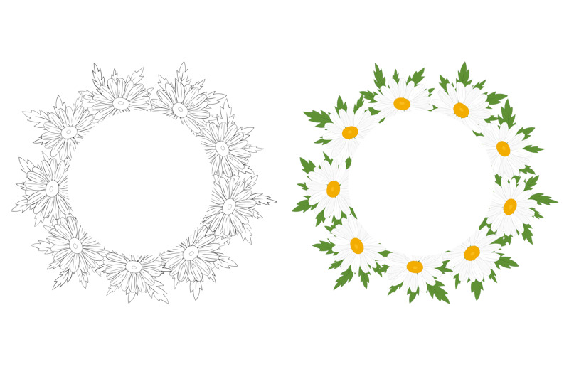 daisy-frame-daisy-design-daisy-svg-daisy-postcard