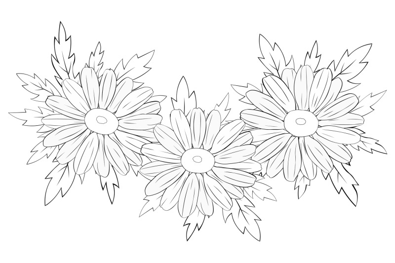 daisy-frame-daisy-design-daisy-svg-daisy-postcard