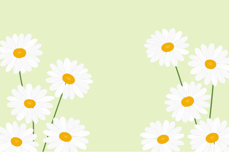 daisy-postcard-daisy-frame-daisy-design-daisy-svg