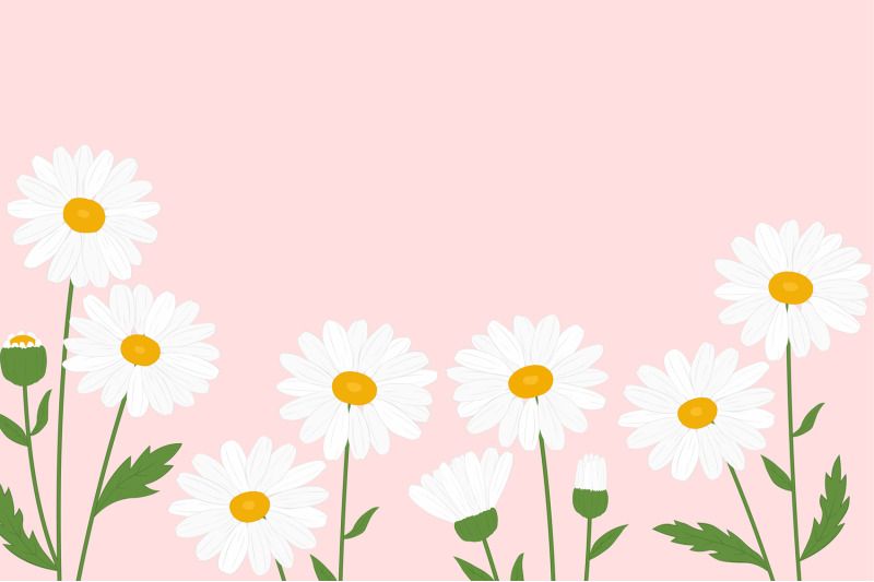 daisy-postcard-daisy-frame-daisy-design-daisy-svg