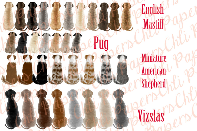 dogs-clipart-dog-breeds-clipart-pets-illustrations-puppies
