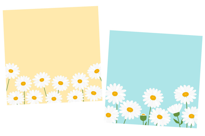 daisy-frame-daisy-postcard-daisy-flowers-design-daisy-svg