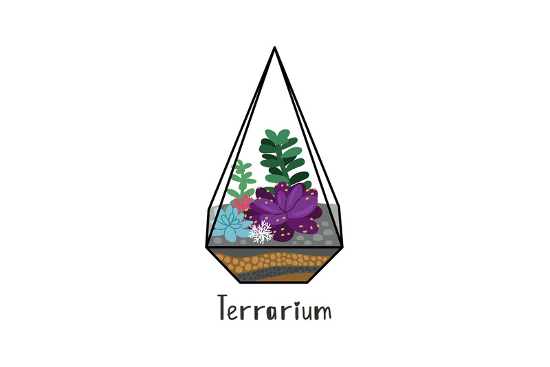 succulents-in-terrarium