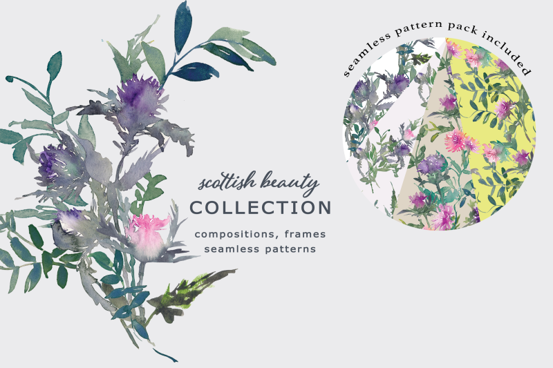 watercolor-thistle-clipart-and-seamless-pattern-collection