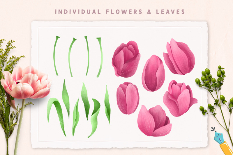 pink-tulips-hand-drawn-floral-illustrations