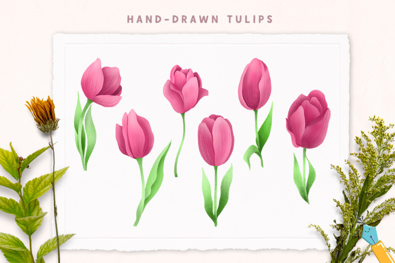 pink-tulips-hand-drawn-floral-illustrations