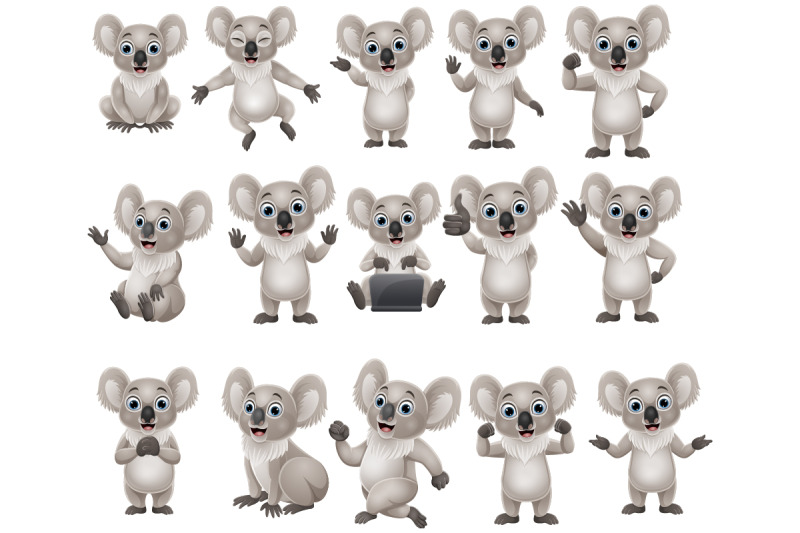 set-of-fifteen-koala-cartoon-collection