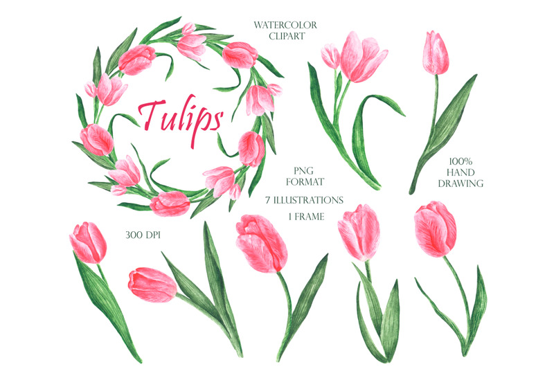 pink-tulips-watercolor-clipart-watercolor-tulips-wreath-tulips-frame