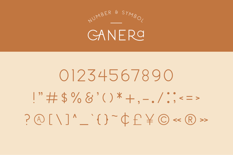 canera-simple-elegant-typeface