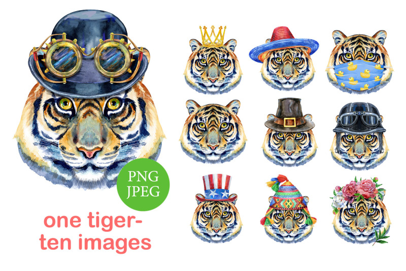 watercolor-orange-tiger