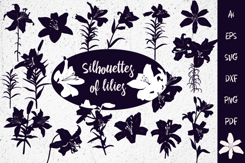 set-of-lily-flowers-in-silhouettes-svg