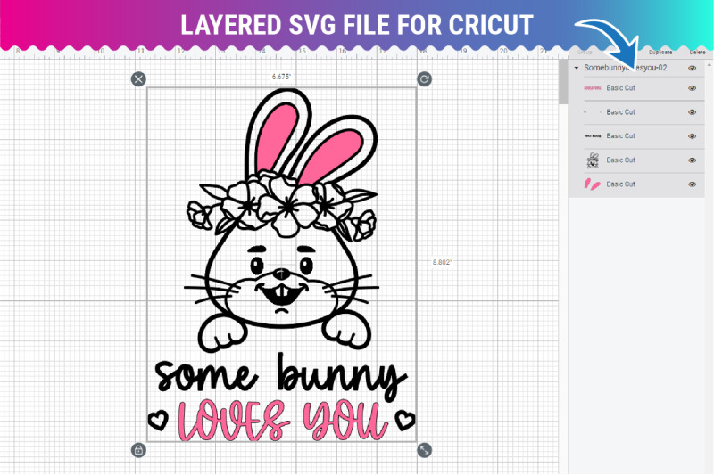 some-bunny-loves-you-svg-dxf-png-eps-baby-svg-bunny-ears-cut-file