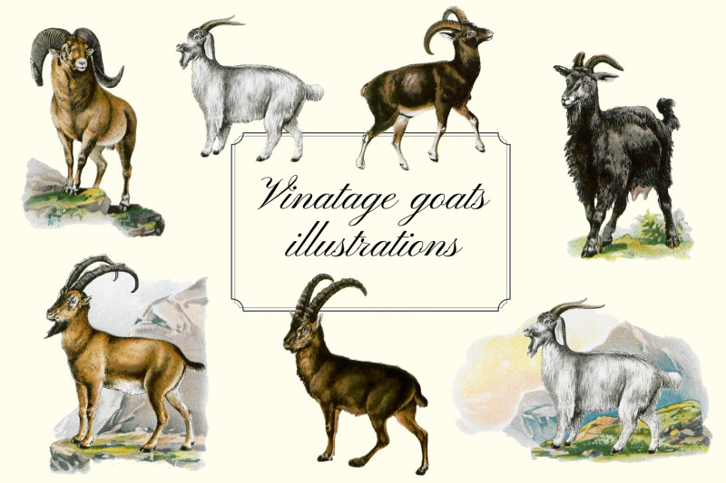 vintage-goats-illustration-farmhouse-wall-art