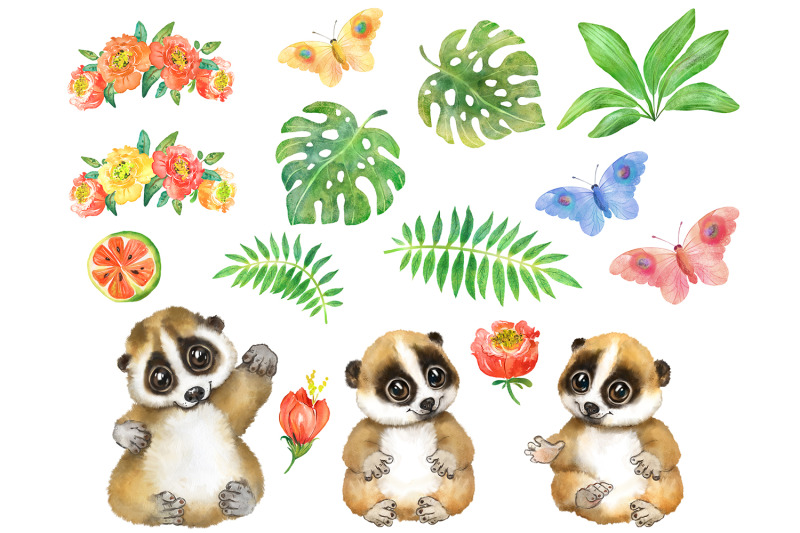 lori-watercolor-clipart-cute-tropical-animal-nursery-decor