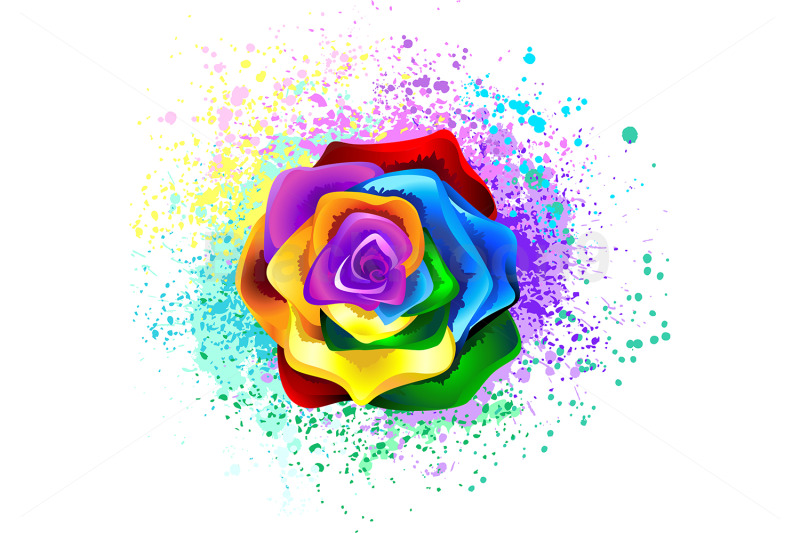colorful-rainbow-rose