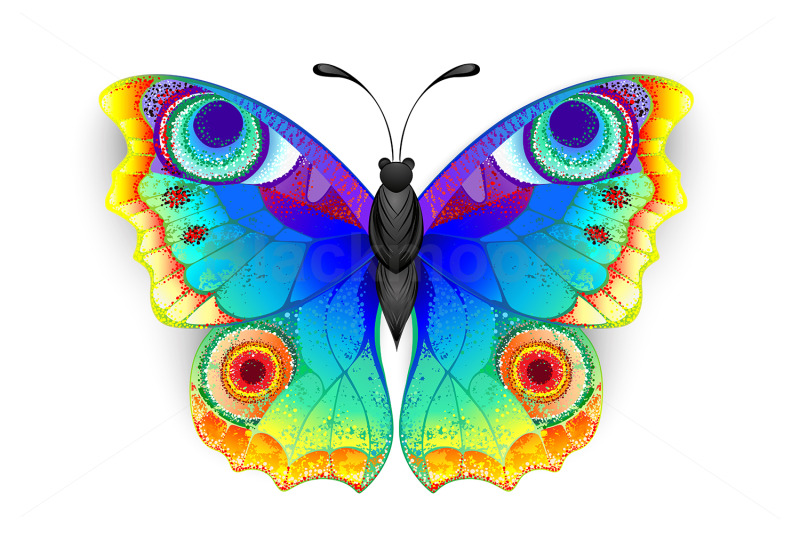 rainbow-butterfly-peacock-eye