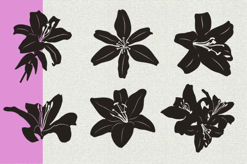 lily-flowers-custom-shapes-for-photoshop
